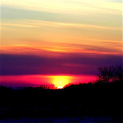 IM体育官方网站